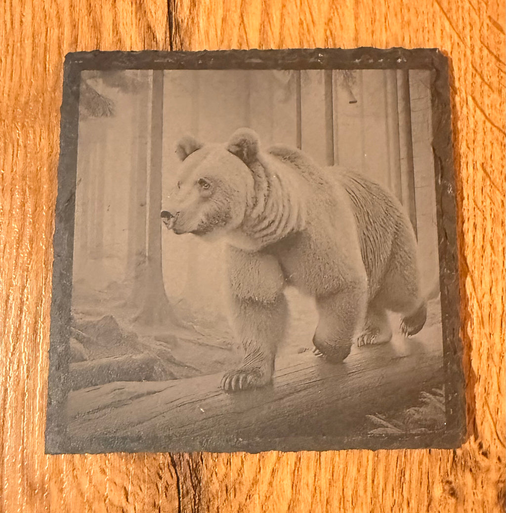 Schiefer-Untersetzer Wild Life personalisiert - stilvolles Set mit Gravur