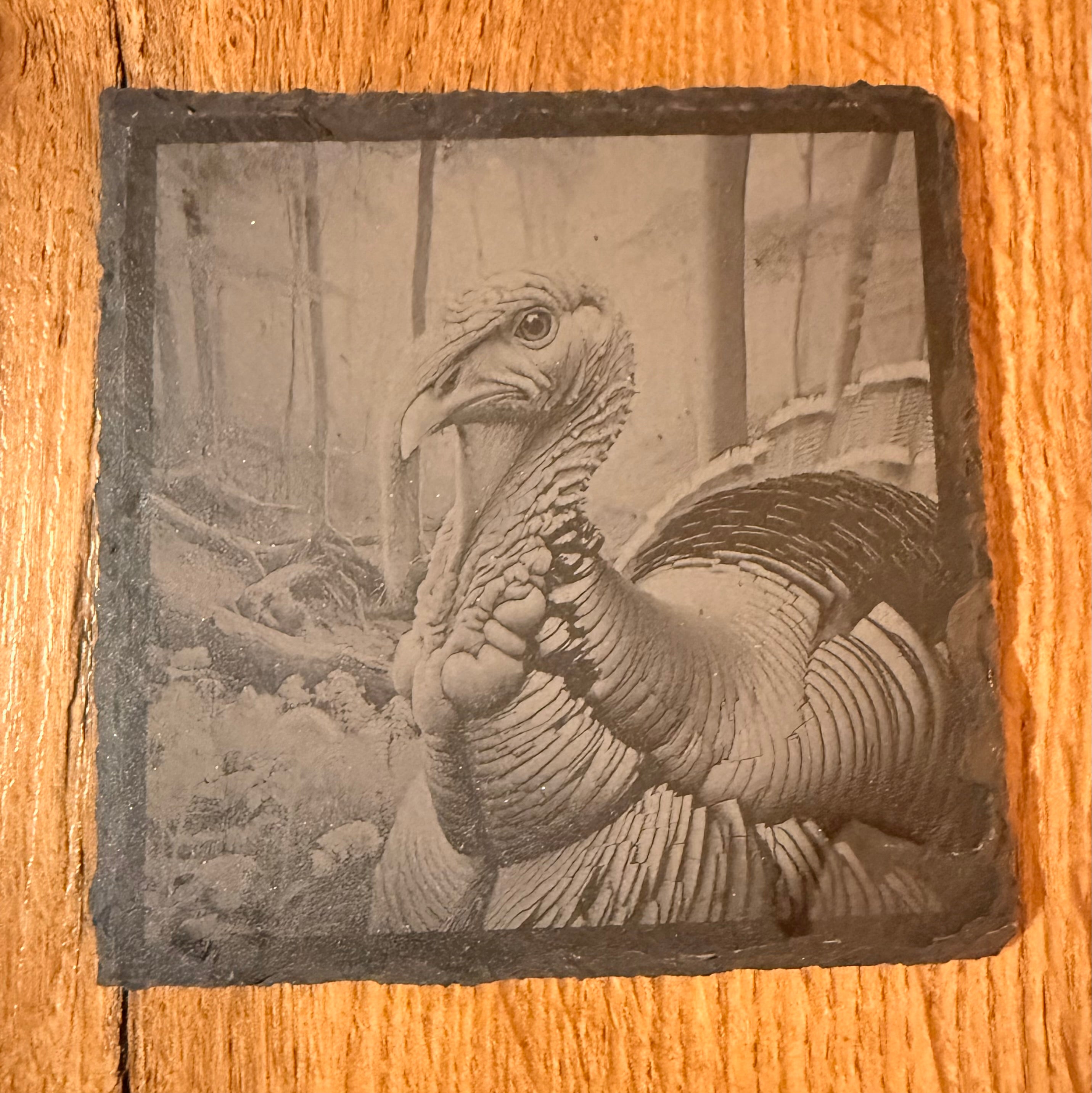 Schiefer-Untersetzer Wild Life personalisiert - stilvolles Set mit Gravur