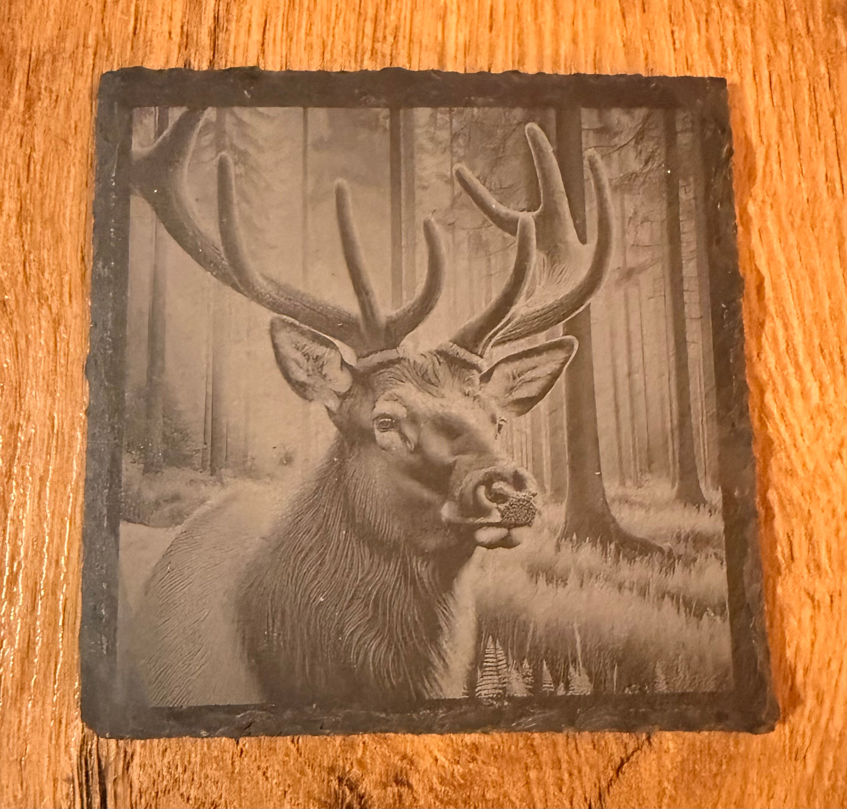 Schiefer-Untersetzer Wild Life personalisiert - stilvolles Set mit Gravur