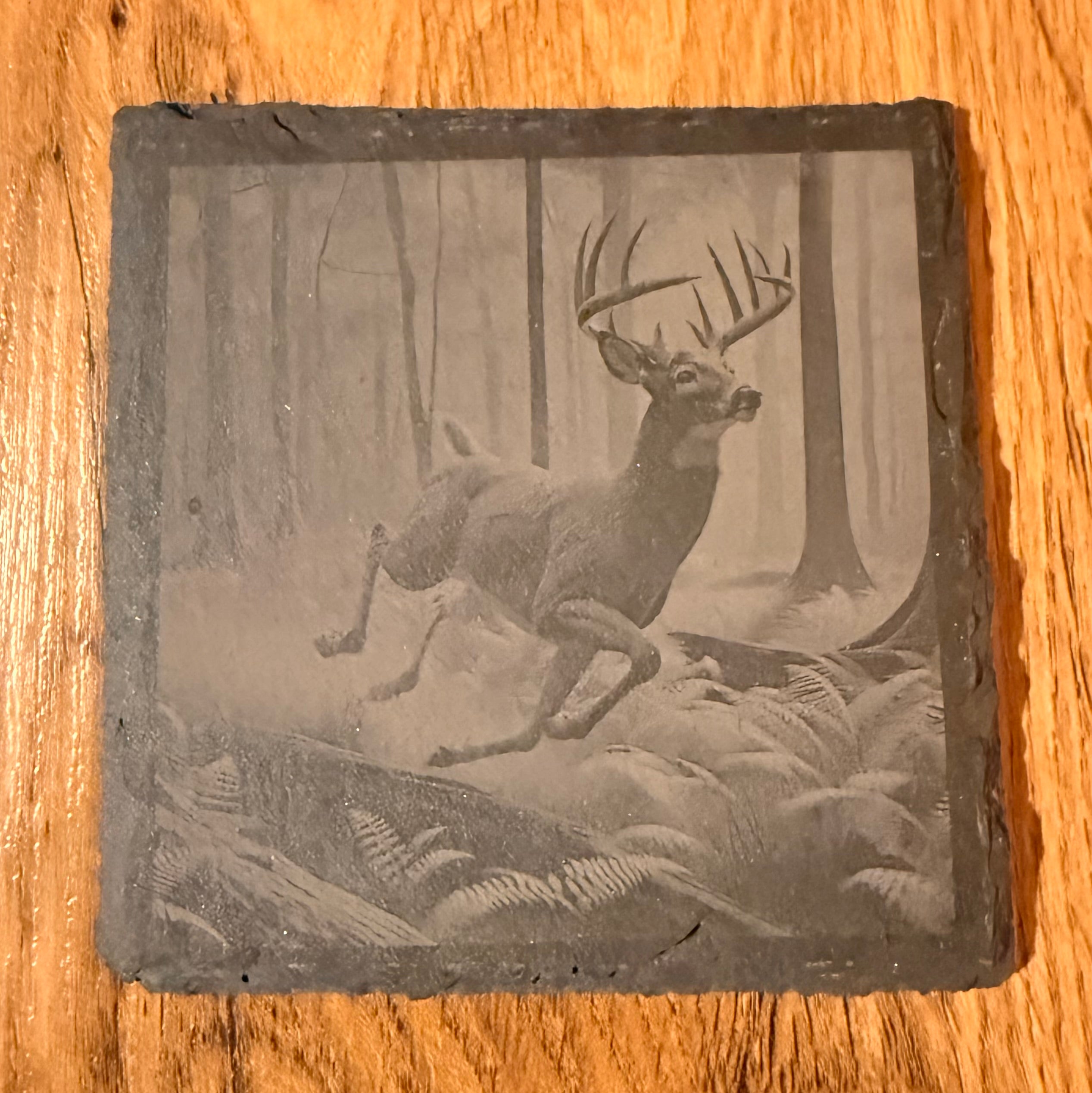 Schiefer-Untersetzer Wild Life personalisiert - stilvolles Set mit Gravur